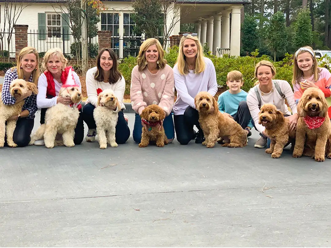 Goldendoodle Owner Reviews Banner